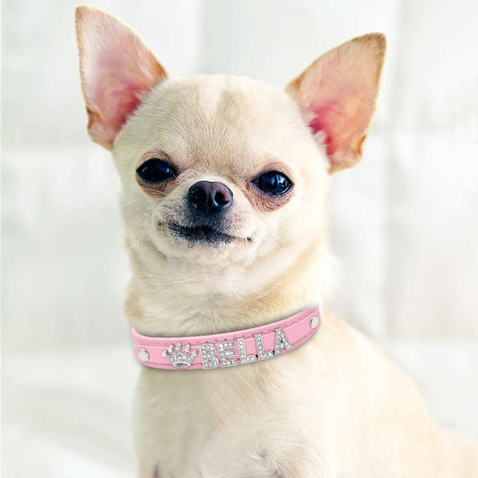 Personalized Cat Collar Rhinestone Puppy Small Dogs Collars