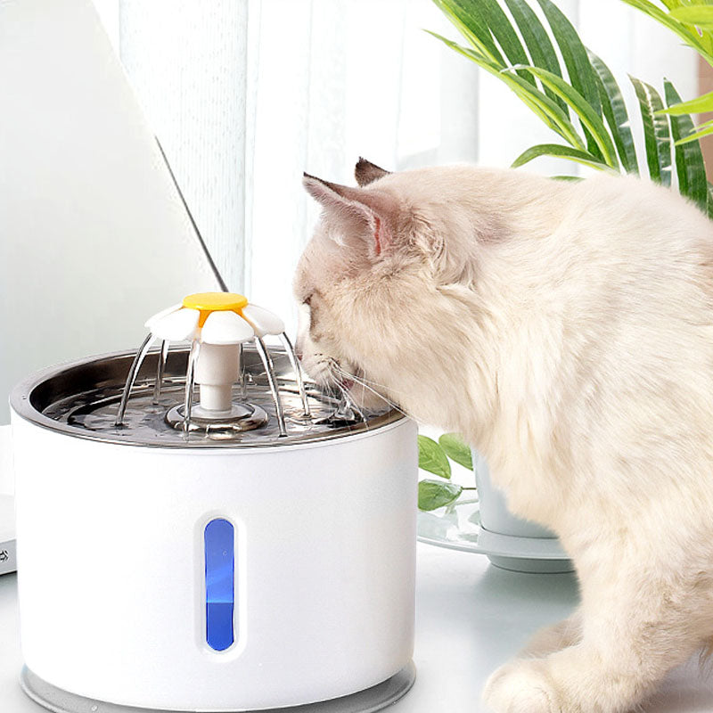Pet USB Electric Water Feeder Lacks Water And Power