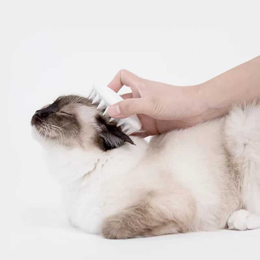 Cat Gloves Cat Grooming Cat Gloves Cat Grooming Grooming Grooming 20 Pet Palace Co
