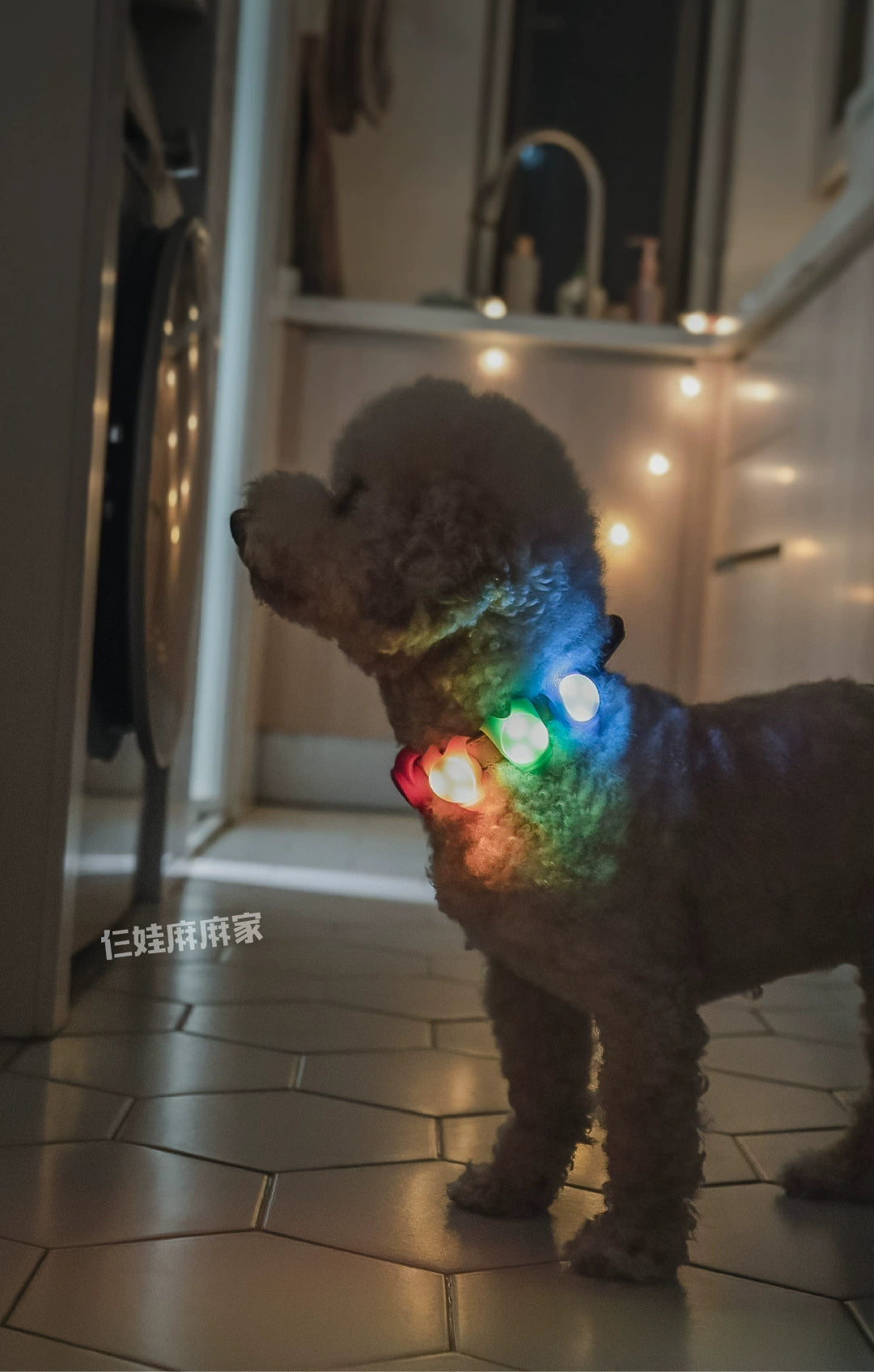 Light Luminous Pendant LED Flash Collar Waterproof