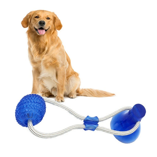 Pet Molar Bite Dog Toys Rubber Chew Ball